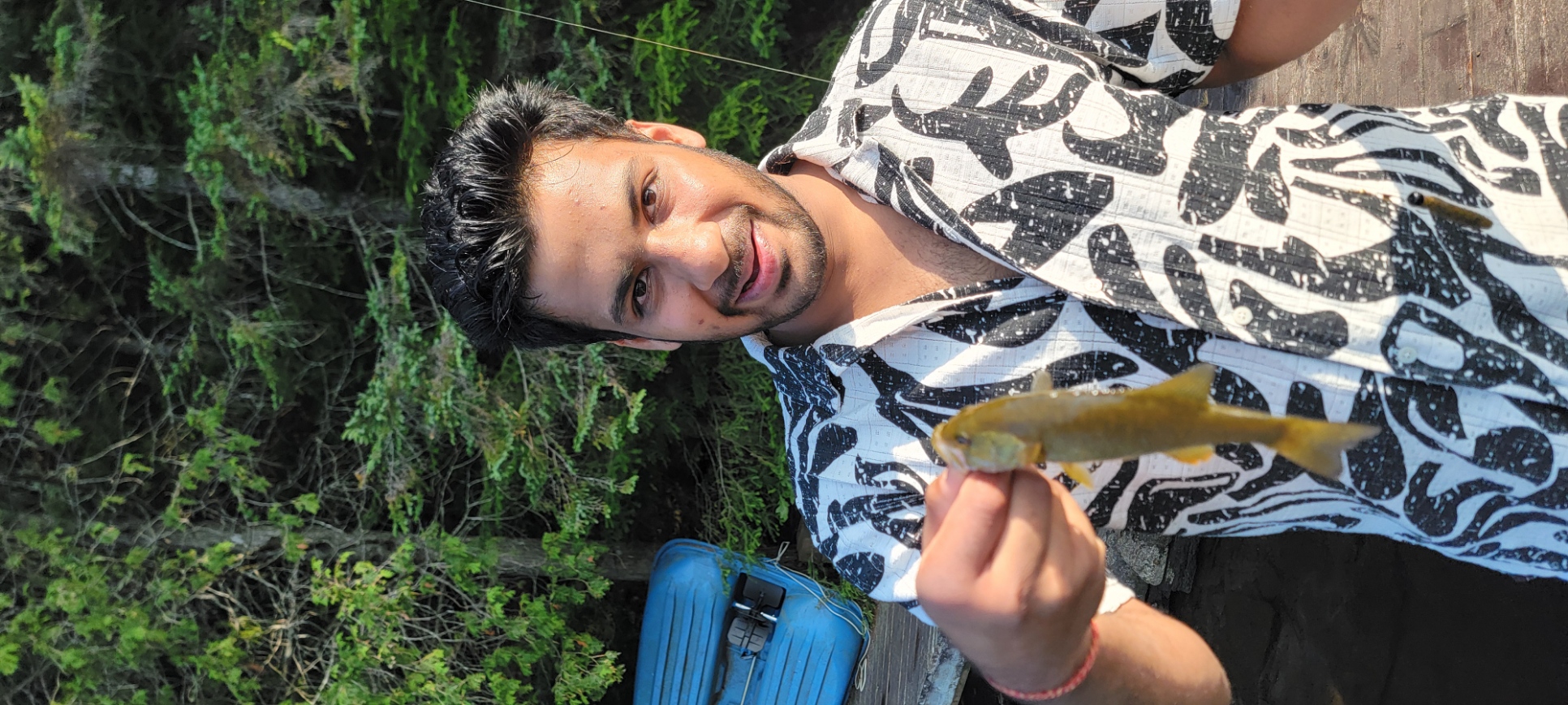 Tobermory lakeside view